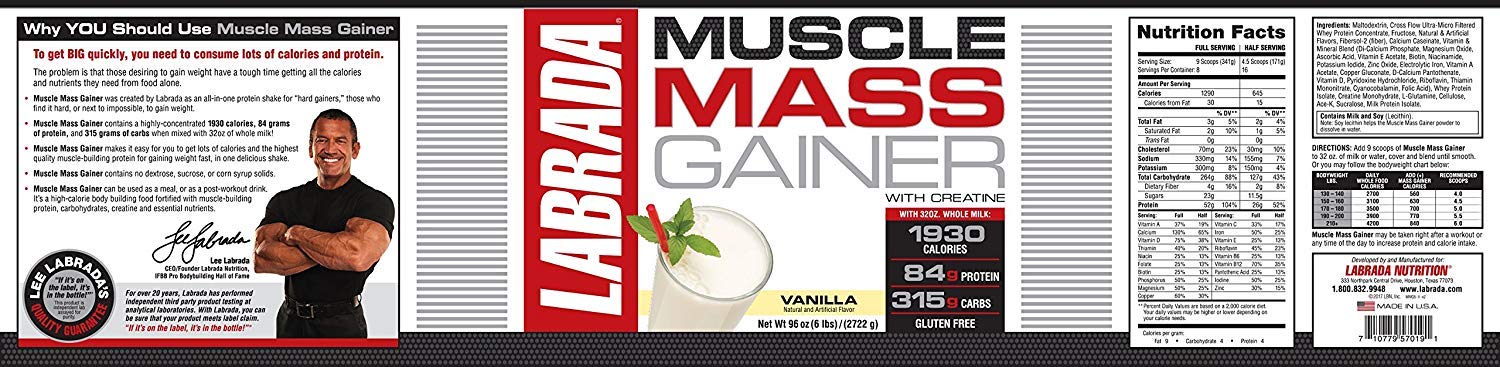 muscle mass 2