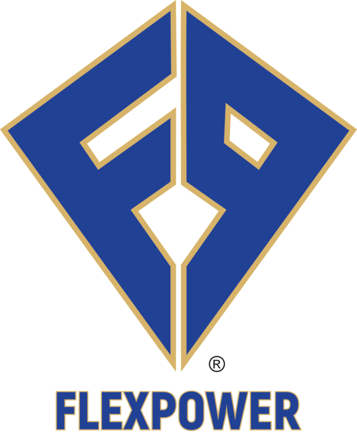 Flex Power Logo